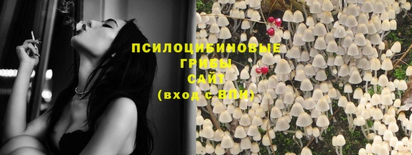 стафф Калининец